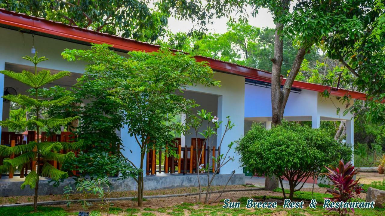 Dambulla Golden Home Дамбулла Экстерьер фото